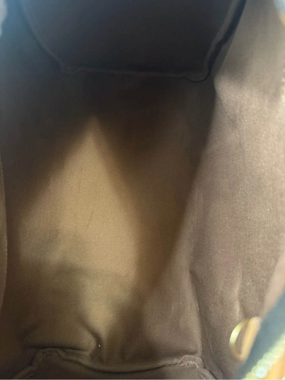 Louis Vuitton classic louis